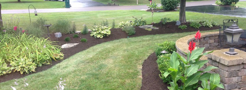 Mulch Landscaping Picture