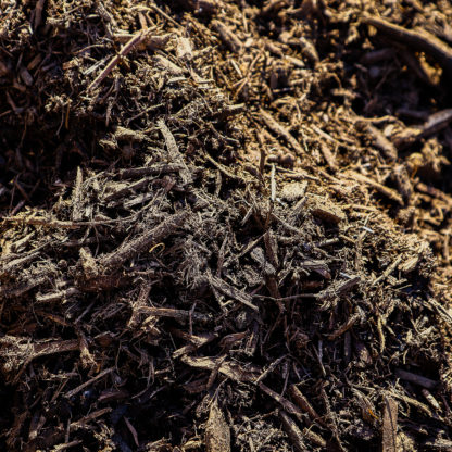 Chocolate Dyed Mulch Close Up Picture