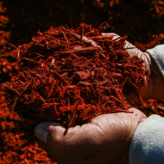 Handful of Red Dyed Mulch