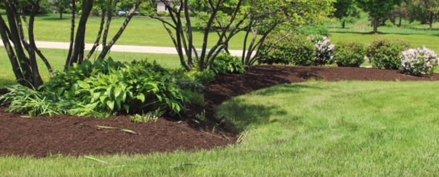 Free Mulch with Purchase
